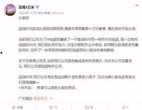 网友爆料的视频如何制作,制作概述文章副标题全攻略